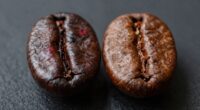 coffee roasting flavor profiles
