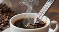 optimal coffee water temperature