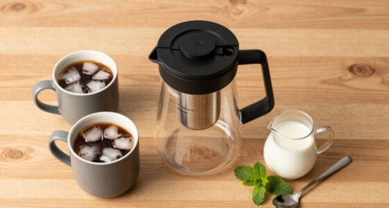 15 Best Cold Brew Makers in 2026