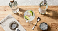 6 Best Gin for Gin and Tonics in 2026