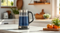 Keep Your Ninja KT200BL Kettle Summer-Ready: Care & Troubleshooting Tips